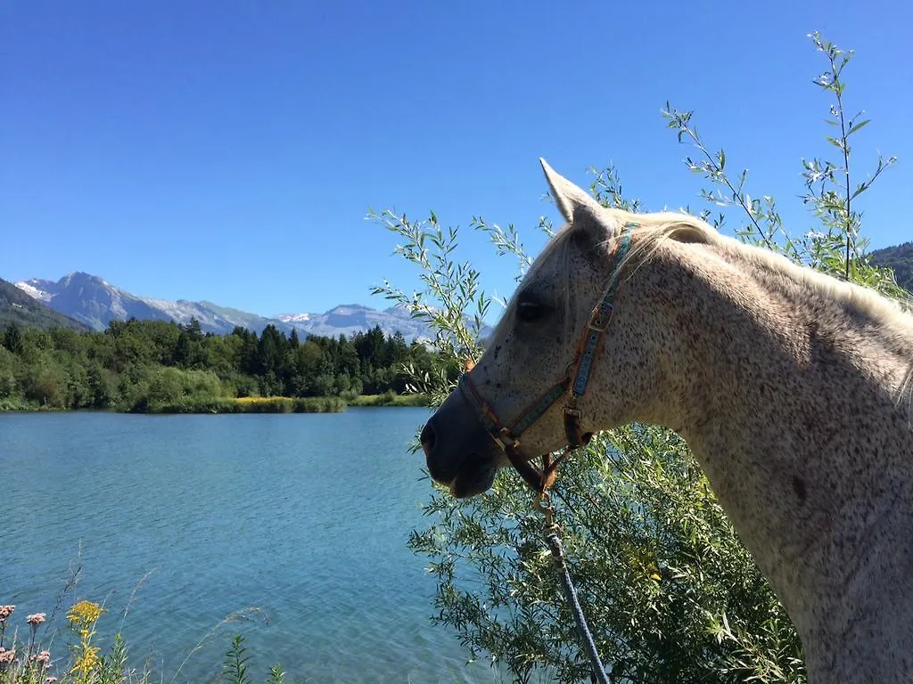 Holiday home Maison Du Bourg Samoens